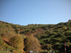 DSCN0049 DSCN0049