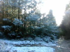 DSCN7478 DSCN7478