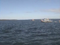 Camara 23-02-2011 16_53_0004