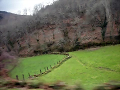DSCN2790 DSCN2790