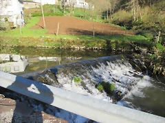 IMG_0247 IMG_0247