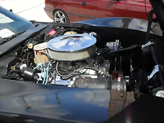 SDC15503 SDC15503