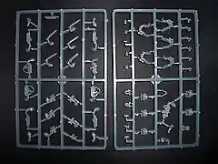 scoutssprue