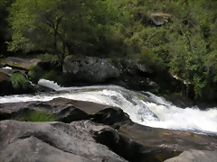 DSCN2820 DSCN2820