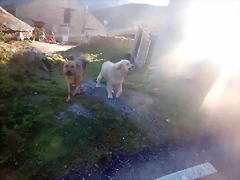 DSCN2619 DSCN2619