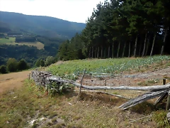 DSCN4403 DSCN4403