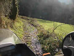 DSCN3003 DSCN3003