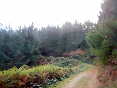 DSCN8479