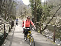 R0012383 R0012383