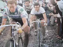 1981-ROUBAIX-BLAIREAU-HINAULT-R.DE VLAEMINCK.