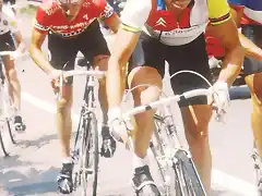 TOUR 1984.ALPE DHUEZ-HINAULT