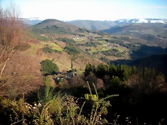 DSCN2534 DSCN2534