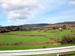 DSCN7906