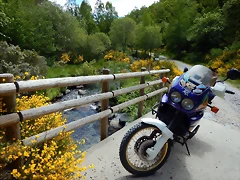 DSCN9116 DSCN9116