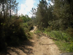 DSCN5308 DSCN5308