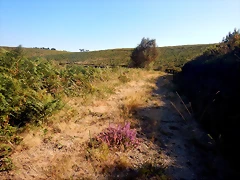 DSCN7707 DSCN7707
