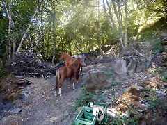 DSCN4560 DSCN4560