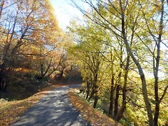 DSCN8993 DSCN8993