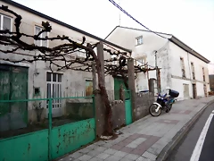 DSCN5030 DSCN5030