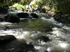 DSCN2792 DSCN2792
