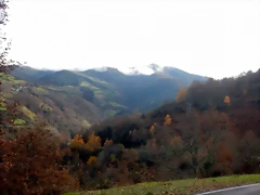 DSCN2223