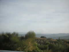 DSCN9876 DSCN9876