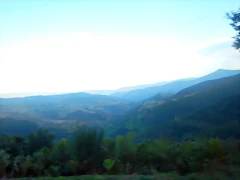 DSCN8079 DSCN8079