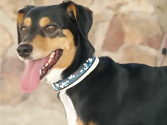 golfo1 golfo1