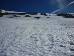 viorna 020 viorna 020