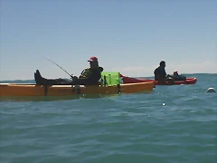 100_0081 100_0081