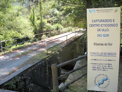 DSCN6699 DSCN6699