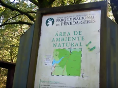 DSCN1635 DSCN1635