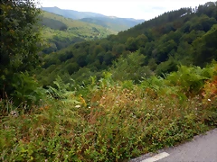 DSCN6656 DSCN6656