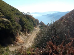 DSCN6871 DSCN6871