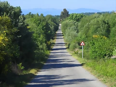 11-IMG_6346