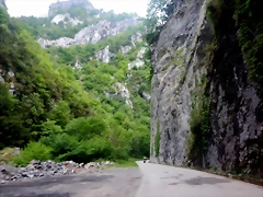 DSCN2881 DSCN2881