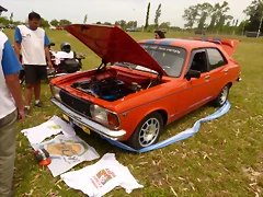 P1050954 P1050954