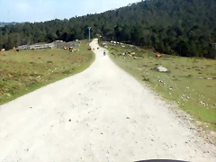 DSCN0558 DSCN0558
