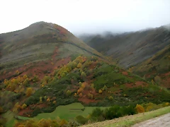 DSCN6000 DSCN6000