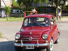 P1190081 P1190081