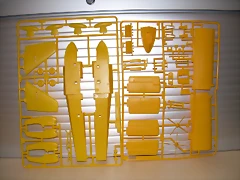 DSCN0009 DSCN0009