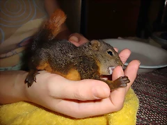 DSC00199