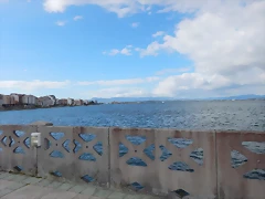 DSCN9980 DSCN9980