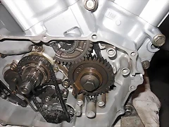46 46