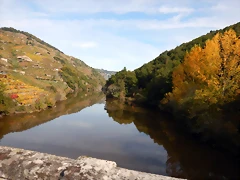 DSCN0625 DSCN0625