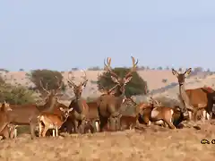 foto de familia, marca 2