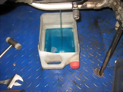 IMG_1988 IMG_1988