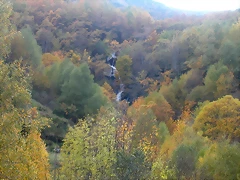 DSCN6121 DSCN6121