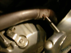 DSCN7429 DSCN7429