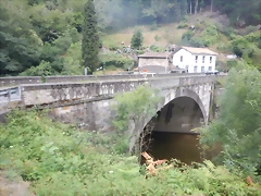 DSCN8850 DSCN8850